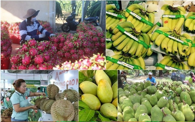 Fruit, vegetable exports exceed US$7 billion in 10 months